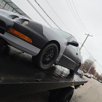 WhatsApp Image 2026-03-30 at 10.10.18